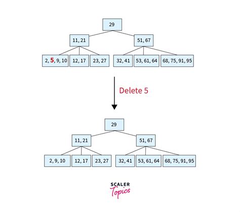 B Tree In Data Structure Scaler Topics