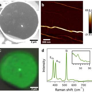 A Sem Image Showing Cvd Grown Few Layer Mos Transferred On To A Si