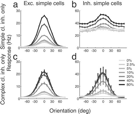 Different Roles For Simple Cell And Complex Cell Inhibition In V1 Journal Of Neuroscience