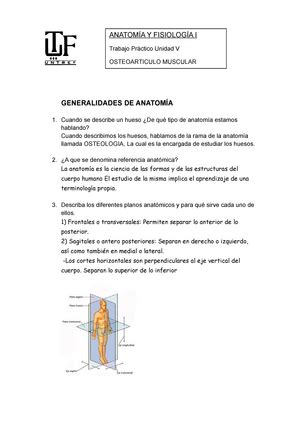 2do parcial 2020 Anatomía e Histología I Lic Nutrición UNTREF