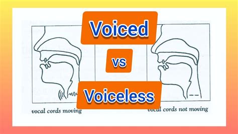 Understand Voiced Vs Voiceless Consonants Youtube