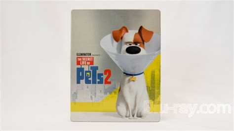 The Secret Life Of Pets 2 4k Blu Ray Release Date August 27 2019 Best