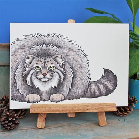 Pallas Cat Etsy