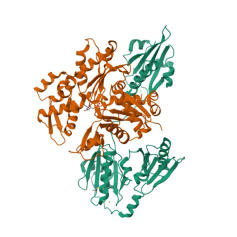 Rcsb Pdb Ffk Crystal Structure Of Human Gelsolin Domains G G