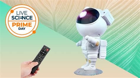 The Life of Charles Darwin: From Aimless Adventure to Tragedy and ...