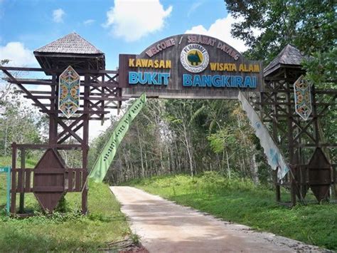 Wisata Kalimantan Timur Bukit Bengkirai Kaltim Green