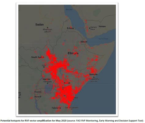 Oie Eastern Africa Echoes Igad And Fao Appeal For Heightened Surveillance For Rift Valley Fever