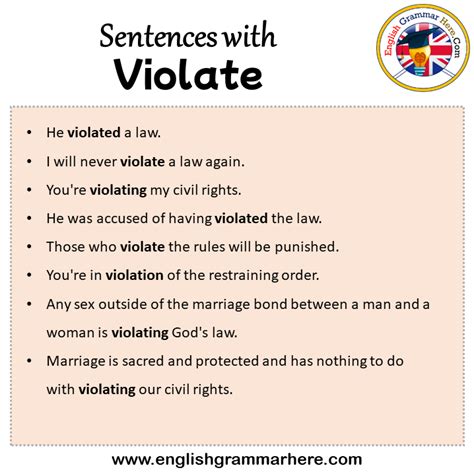 Sentences With Violate Violate In A Sentence In English Sentences For