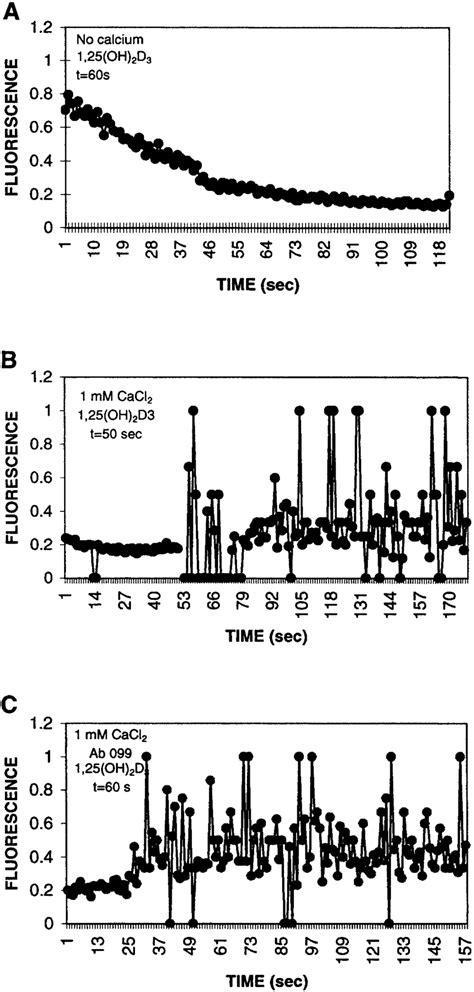 Fura 2 Determination Of Intracellular Calcium In Intestinal Cells