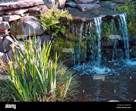 Rock garden waterfall Stock Photo - Alamy