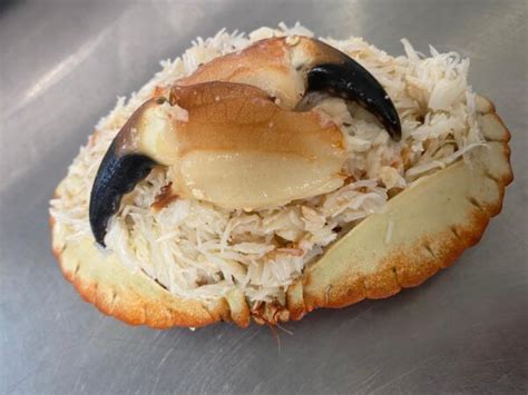 Dressed Crab Small | Sandgate Seafoods