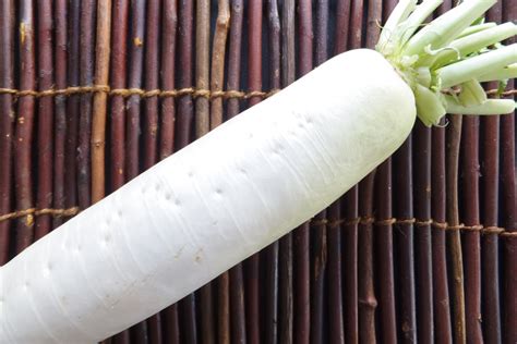 What Is Daikon Japanese Radish And Best Daikon Recipes We Love