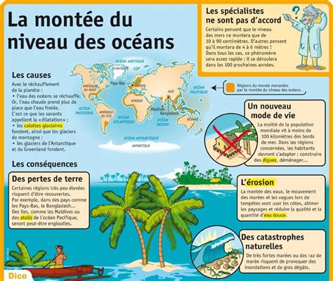 Educational Infographic Fiche Expos S La Mont E Du Niveau Des