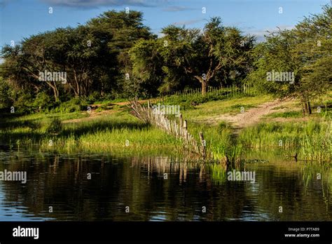 Kavango River High Resolution Stock Photography and Images - Alamy