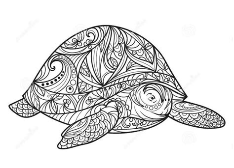 Tortues Mandalas Turtle Mania