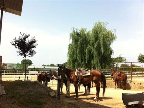 Passeggiata A Cavallo Tra Le Campagne Di Cerveteri Passeggiate