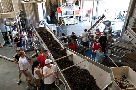 Destination Design Group | %i