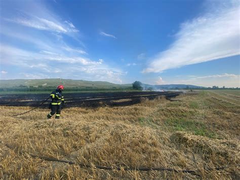 Foto Incendiu Izbucnit La Un Lan De Gr U N Comuna S Ntimbru