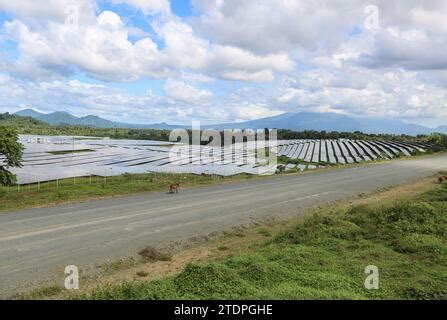 Alaminos Philippines D Cembre Le Parc Solaire Alaminos Ac