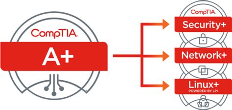 Les 5 Étapes pour Réussir votre Certification CompTIA au Cameroun