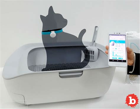 This Smart Litter Box Will Change Your Life, Make Your Cat Healthier