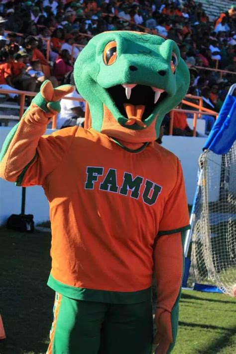 83 best FAMU images on Pinterest | Colleges, Alma mater and Pride