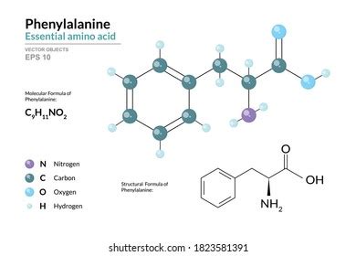 페닐알라닌 Phe C9H11NO2 단백질산 구조 화학적 스톡 벡터 로열티 프리 1823581391 Shutterstock
