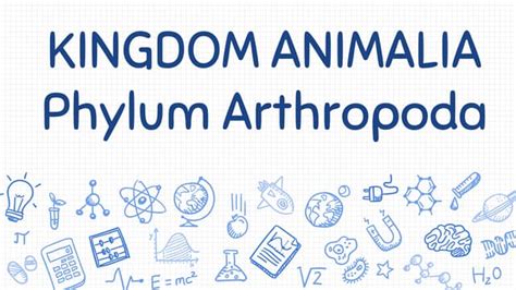 13 Phylum Arthropoda Notes