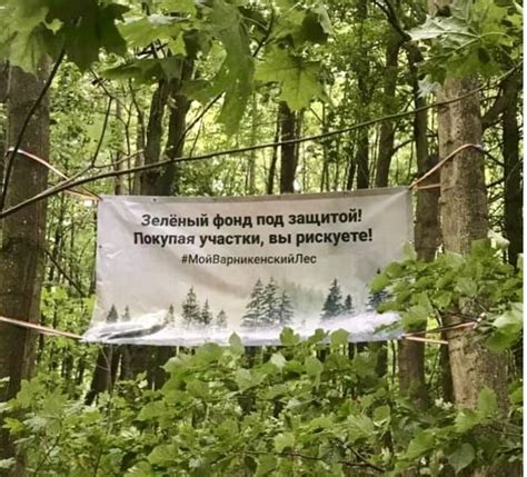 Последние новости Калининграда и области сегодня - свежие происшествия ...