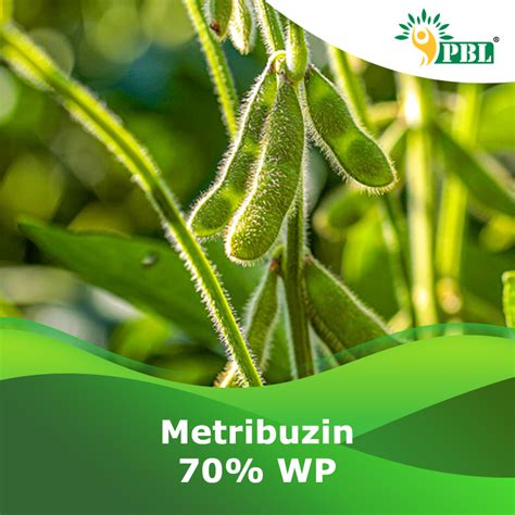 Metribuzin 70% W.P | Herbicides Manufacturer & Exporter - Peptech Bio