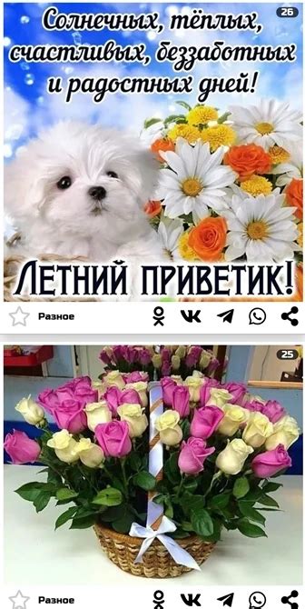 Открытки на все случаи жизни