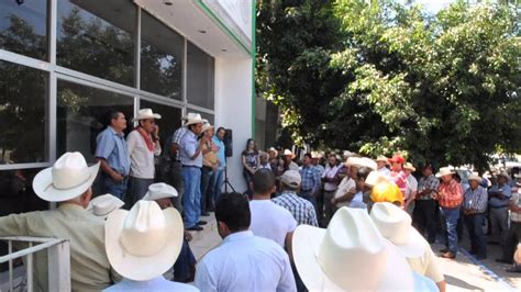 Vigilarán que bodegas paguen 3 300 a maíz YouTube