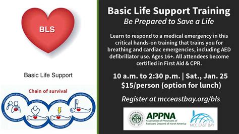 The Ultimate Guide To Basic Life Support Exam B Answers Everything You