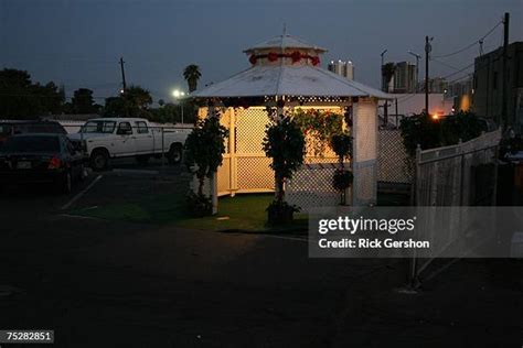 Las Vegas Garden Of Love Wedding Chapel Photos And Premium High Res Pictures Getty Images