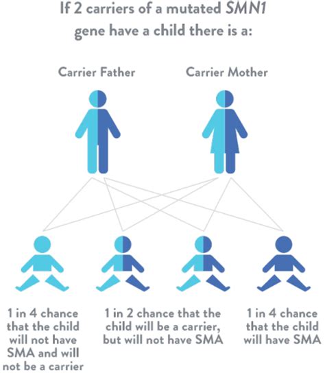 What is SMA (Spinal Muscular Atrophy)? | SMN1 & SMN2 Genes