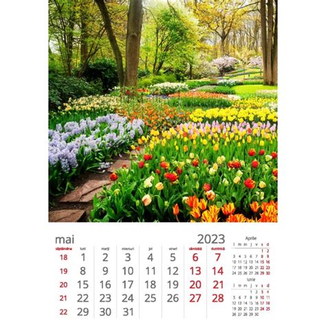 Calendar Perete Gradini Darko Print