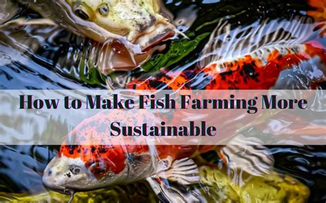 How to Make Fish Farming More Sustainable | WorldWide Aquaculture