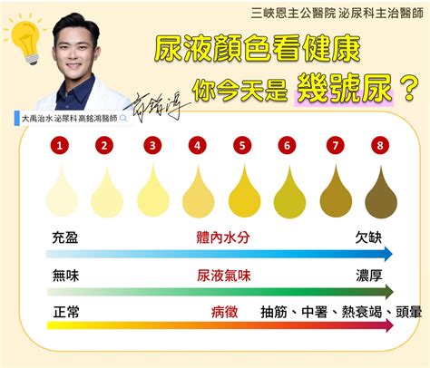 別急著沖馬桶！圖解「8尿液」代表意義 醫：尿出3色號危險了 Ettoday健康雲 Ettoday新聞雲