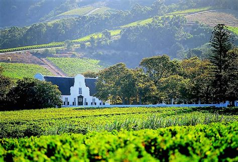 cape winelands natural beauty  great reasons   wine tasting