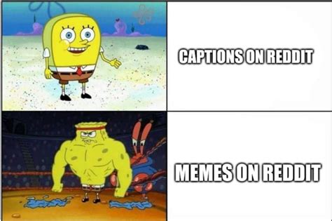 This Meme Is More Like The Round Spongebob Though Rmemes