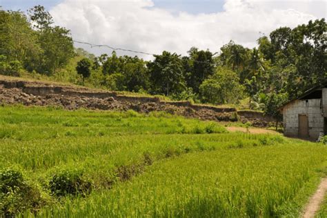 Inabanga Fault Scarp Bohol Island Geopark