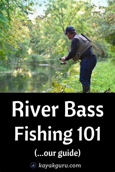 Guide To River Bass Fishing Inc Tips How Do We Find Bass Types Of