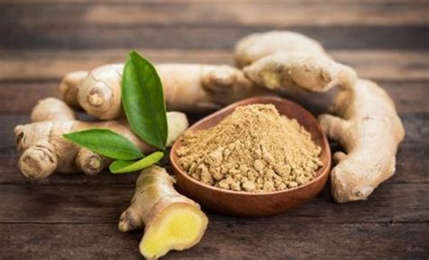 Light Yellow Organic Dry Ginger Powder At Best Price In Mahuva Jiyan Food Ingredients