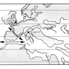 Simplified Paleogeographic Map Of The Western Tethys During The