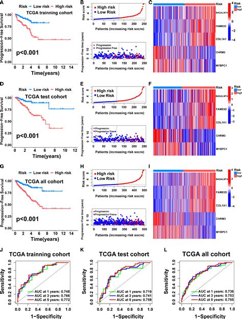 Frontiers Identification Of Novel Molecular Subtypes And A Signature