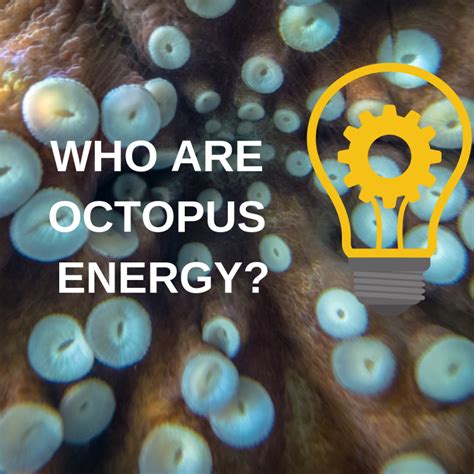 Switch To Octopus Energy How Does It Stack Up Customer Reviews Tariff