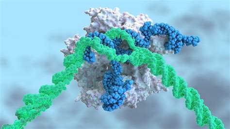 Instructions to Recognize and Treat Genetic Diseases