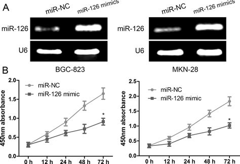 Mir 126 Inhibits Cell Proliferation Migration And Invasion In Gc