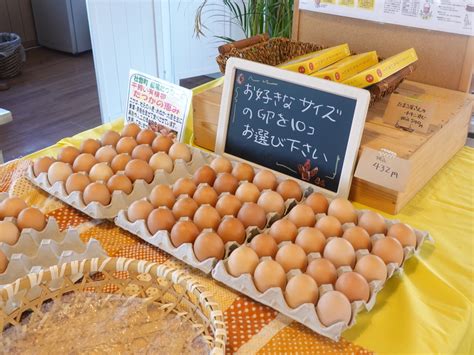 【北海道】平飼い有精卵を味わう！たまごcafe｜北海道壮瞥町移住ブログ！｜美しい田舎そうべつ移住サイト