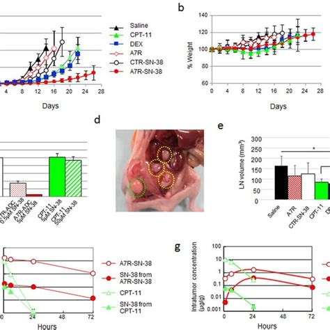 Anti Tumor Effect Of A7R ADC SN 38 On The CYG82 Tumor Model A